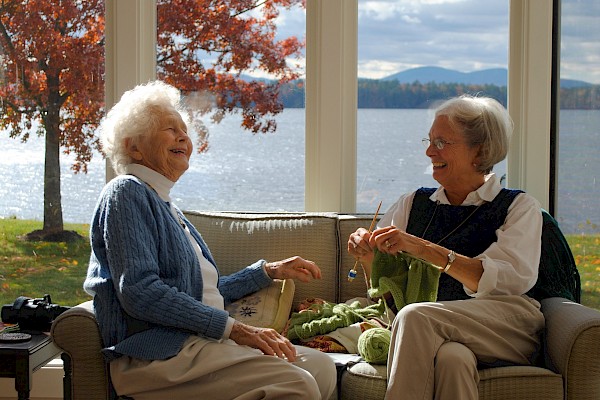 The Importance of Socialising and Companionship