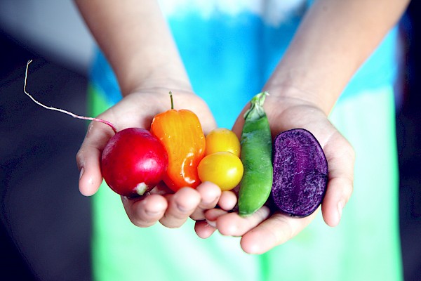 Getting Your 5 a Day, Healthy Eating Advice For Over 50s