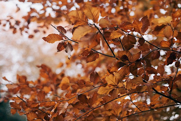 Top Tips For Keeping Warm in The Colder Months