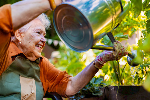 The Power of Plants: Gardening Tips for Older Loved Ones