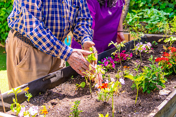The Joy of Gardening in Later Life